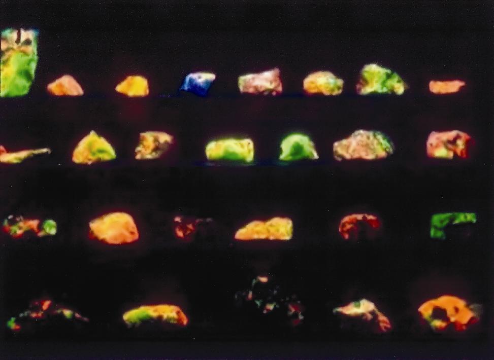Blacklight Boundaries Revealing Ultraviolet The first site of production is a display vitrine in an exhibition mounted by the University of Richmond Museums entitled Fluorescent Minerals from the