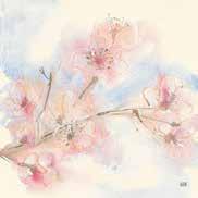 Blossoms II POD 21594 Pink
