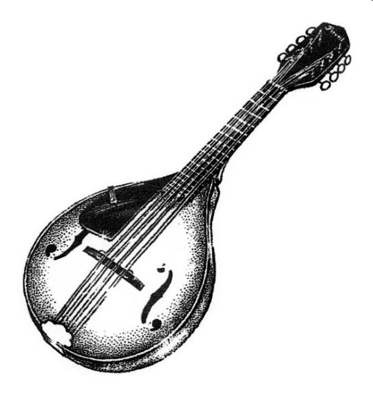 The instruments you will hear during the performance Fiddle Instrument with four strings played with a bow. Then manufactured in quantity in France, it could be bought quite cheaply there.