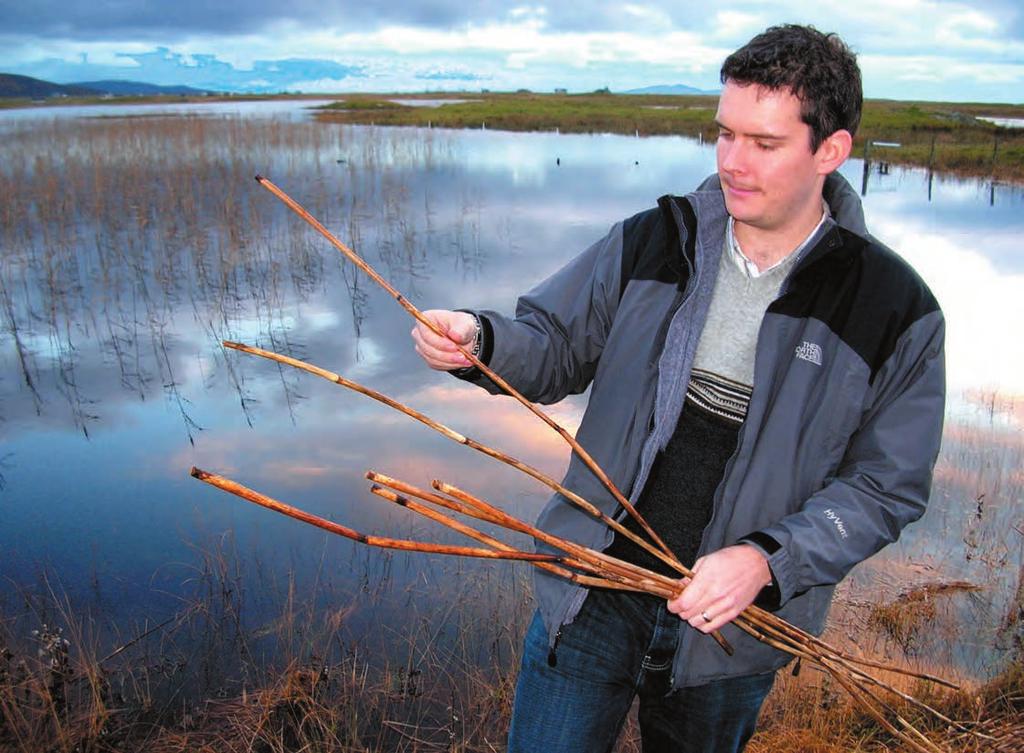 Photo: Josh Dickson DECKER Forrest picks cuilc (marsh reeds) from the lochside in Cil Donain, South Uist, for use in reed-making.