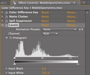 2 In the Levels area of the Effect Controls panel, decrease the Input White amount to 225. 3 Choose File > Save.
