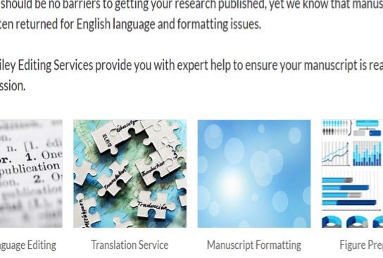 English Language Editing Translation Service
