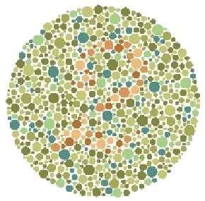 To a person w/normal color vision, some of the dots will appear different enough to form a distinct pattern (a number, a character, or a line) pseudoisochromatic 6.