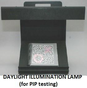 Most common older version of PIP test was a booklet with 15 plates 1. First image in the booklet is the DEMO plate (#16 in orange on green background) 2. Find malingerers!