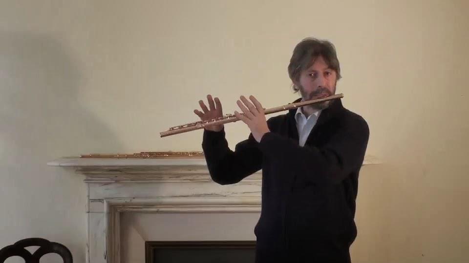 Trevisani also stressed that the thumb finger of the right hand push against the tube of the flute, and should remain at the back of the tube in the same position to ensure solid support.
