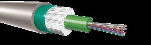 FO cable assemblies Outdoor use The colour of the jacket in the picture is purely informative A-D(ZN)B2Y Loose monotube with metallic armour and PE jacket Outdoor Loose cable to be pre-terminated,