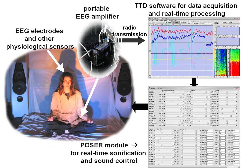 ORCHESTRAL SONIFICATION OF BRAIN SIGNALS AND ITS APPLICATION TO BRAIN-COMPUTER INTERFACES AND PERFORMING ARTS Thilo Hinterberger Division of Social Sciences, University of Northampton, UK Institute