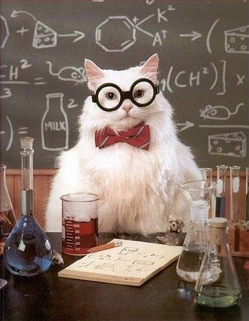 CHAPTER 1. INTRODUCTION 2 Figure 1.1: This is chemistry cat. Here he serves to demonstrate a figure in a LaTeX document, complete with caption.