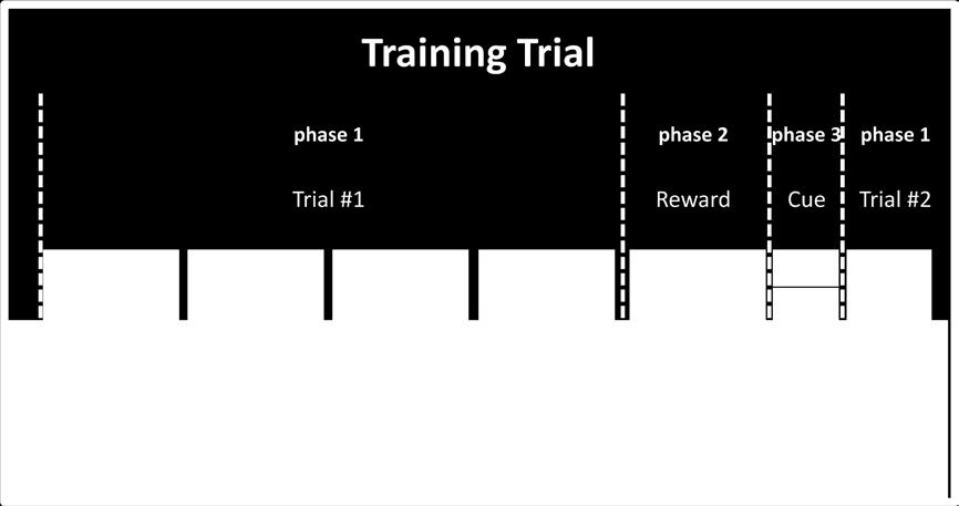 Training trials The SCP training trials consist of 3 phases. - Phase 1: (default: 8 seconds) A feedback screen is shown.