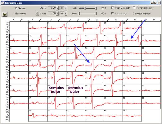 Standard 60MEA200/30iR-Ti Troubleshooting This example shows data from a syncytium of cardiac