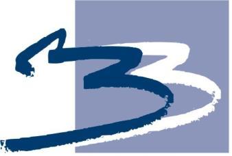 B&B VIŠJA STROKOVNA ŠOLA Program: Poslovni sekretar Modul: Spletni dizajn UREDITEV PISARNE PO NAČELIH FENG SHUI
