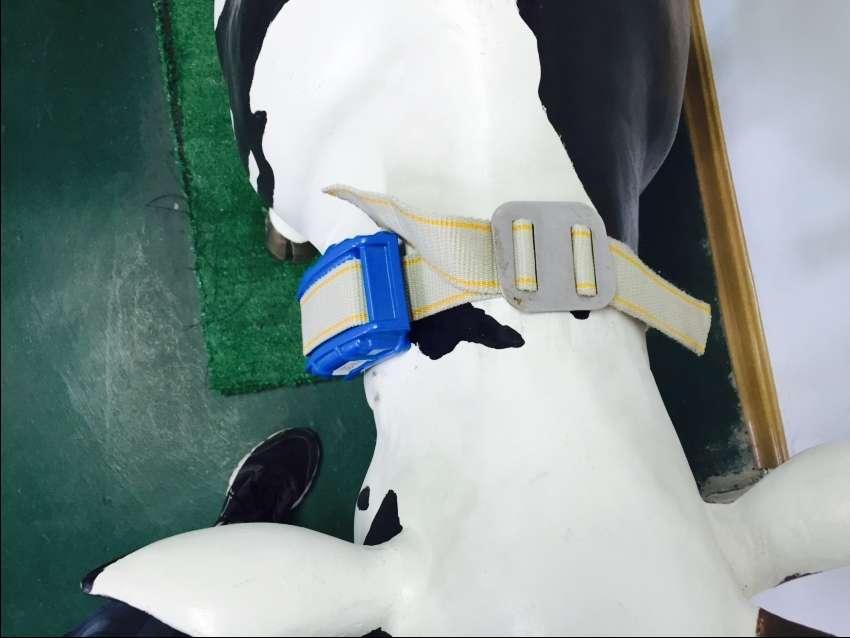 Top-view figure: Only if the UCOWS sensor is installed properly, can the normal operation of the system and the duration of usage of the UCOWS sensor can be ensured.