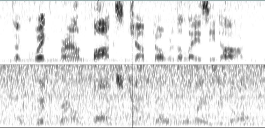 PRAAT Analysis showing the missing segments of speech in the 60' sample (bottom) that has been amplified and had noise reduction applied. The sample recorded at microphone (o') is on top.