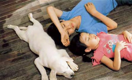 Hearty Paws Ma-eum-ee 마음이 Directed by PARK Eun-hyung, OH Max 2006, 97min, 35mm, 8730ft, 2.