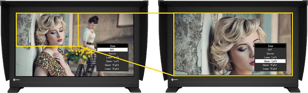 Safely in sight thanks to the safe area marker Ideal for captions and critical images: Thanks to the safe area marker, you will know which area of the screen is displayed on another output device.