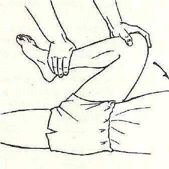 Articulaţia şoldului permite un mare număr de mişcări: de flexie şi extensie, de abducţie şi adducţie, de rotaţie interna şi externă, de circumducţie (fig. nr. 30).