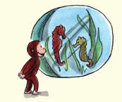 Curious George gets into an underwater adventure with the penguins and inhabitants of the aquarium. Picture Book $12.00 ISBN-13: 978-0-618-80067-4 ISBN-10: 0-618-80067-0 $3.