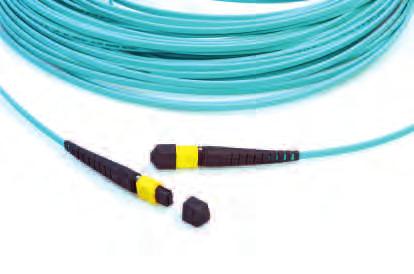 ); RL 28 db MPO-MPO patch cord 12 fiber MPOptimate Fan-out Cords Low loss transition from MPO to LC/SC tails 2 mm Terminated with female MPOptimate connectors Cable performance: OM3; LSZH