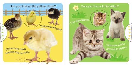 hand-eye coordination Turn and Learn Books: Baby Animals ISBN-13: 978-0-312-51333-7 ISBN-10: 0-312-51333-X Ages: