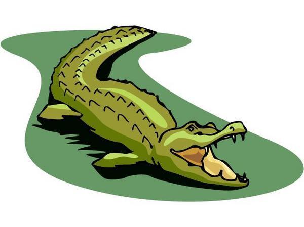 ABCB Rhyming Pattern The Alligator The alligator chased his tail Which hit him in the