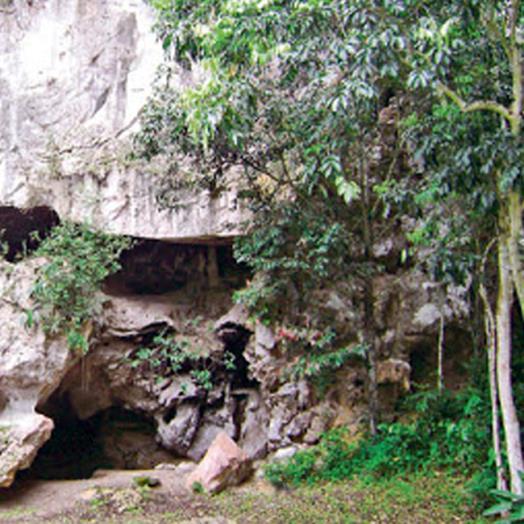 Imej 3. Gua Kota Gelanggi. Pandangan dari luar gua. Sumber: http://akuanakpahang.blogspot.