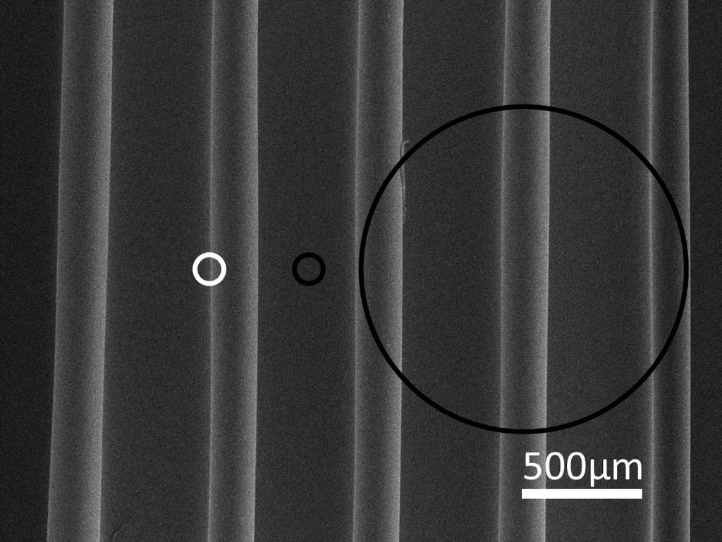 Supplementary Figure 10. SEM image of the stretchable OLEDs at 0% tensile strain.