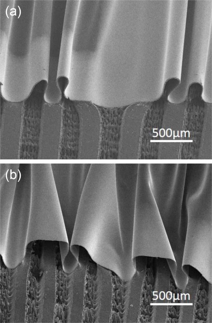 Supplementary Figure 17. Disordered buckling profile. SEM image of stretchable OLEDs with disordered buckling profile.