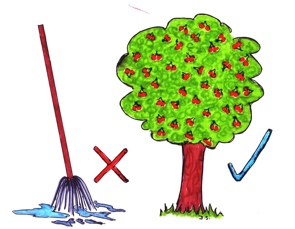 THE MOP IS NOT THE CHERRY TREE Oh alright then - the map is not the territory! This is the main Presupposition* underlying NLP.