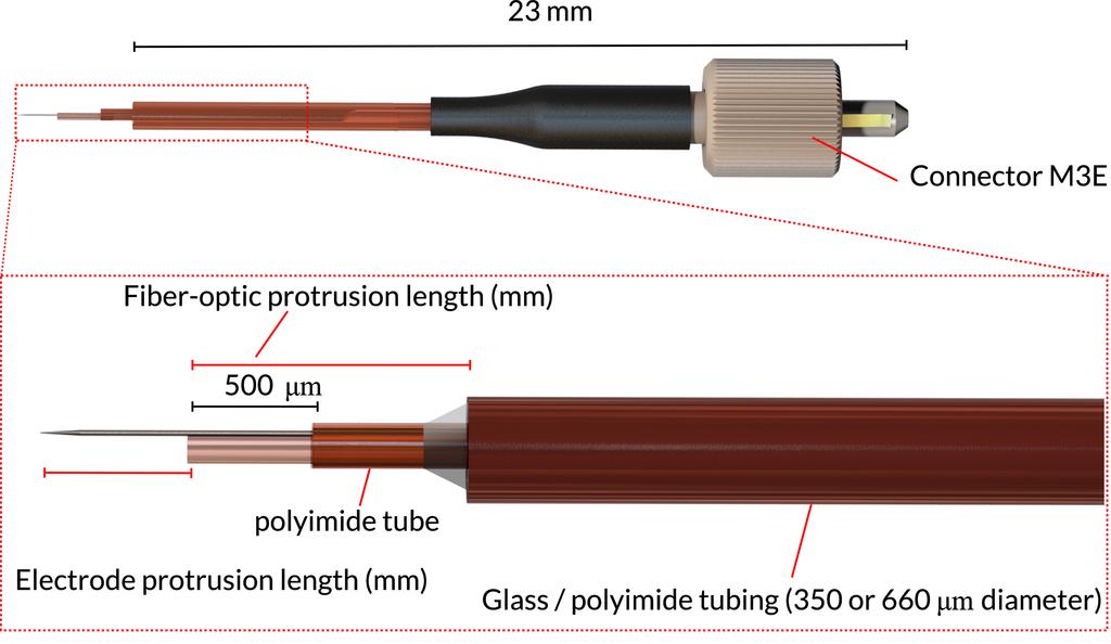 In vitro and In vivo (head-fixed animal) Illumination 103 Opto-electric Probe Tips Like optical probe tips, the Opto-electric Probe Tips have an optical fiber of the specific NA and core diameter