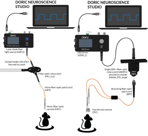 (Left) Optogenetic stimulation with a Laser Diode Fiber Light Source.
