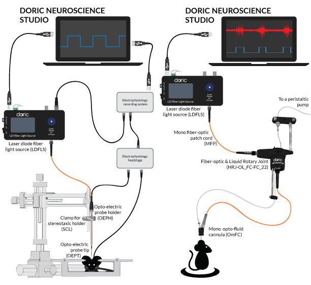 (Left) Optogenetic stimulation and electrophysiology recordings with an Opto-electric