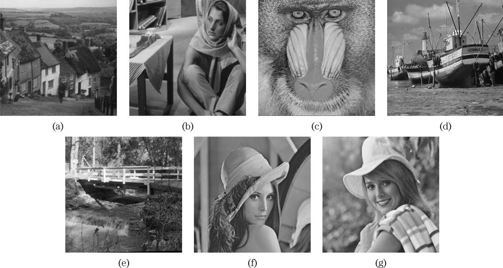 774 IEEE TRANSACTIONS ON CIRCUITS AND SYSTEMS FOR VIDEO TECHNOLOGY, VOL 18, NO 6, JUNE 2008 Fig 6 Test images (a) Golden Hill (b) Barbara (c) Baboon (d) Boat (e) Bridge (f) Lena (g) Elaine where the