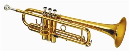 Brass The brass family consists of five major instruments, with a mouthpiece that varies in size.
