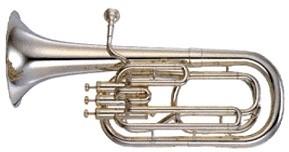 TROMBONE Like the French Horn, trombone players should have good musical ears.