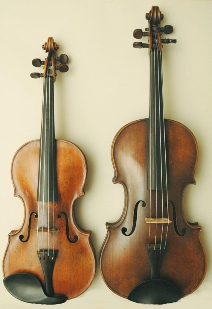 Physical Characteristics: Violinists are section and solo players that must learn to read the treble clef. The violin is held under the chin over the left shoulder.