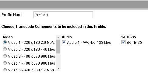 Details of the selected profile are shown on the right-hand side of this screen, which may be modified to change the name of the profile and select the transcode components to be included in the