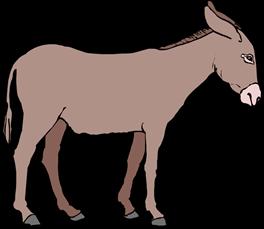 compare to discuss similarities of When we compare a donkey to a