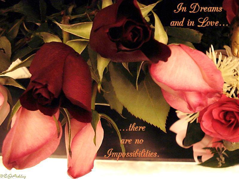 VALENTINE FLOWERS A rose can say I love you, Orchids can