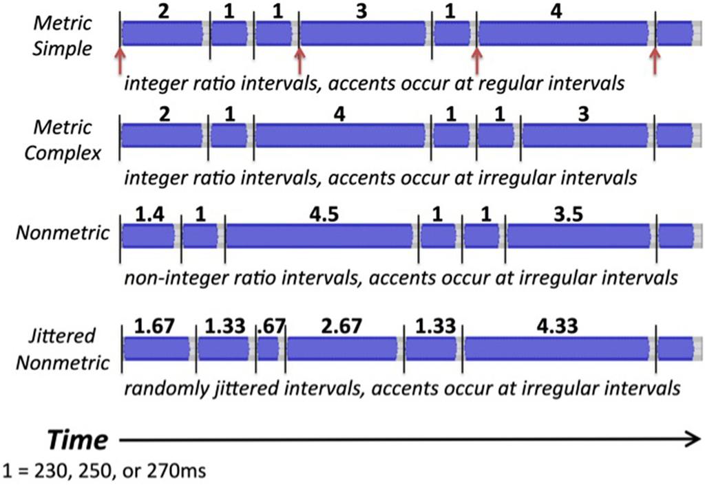 tempo incongruent meter congruent (TIMC), and tempo incongruent meter incongruent (TIMI).