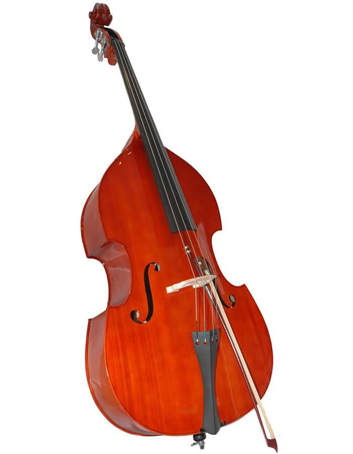 strings - it plays the harmony part; sounded by both plucking or strumming Ø DOUBLE BASS - the double bass is the
