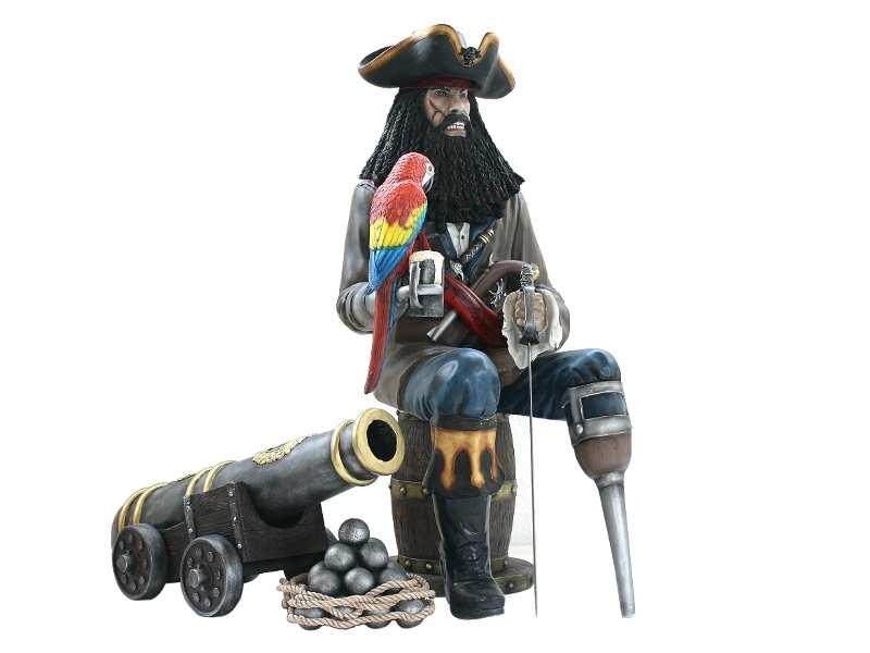 799 - Black Beard Pirate - Cannon