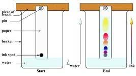 iii. Chromatography Determining individual dye components i.