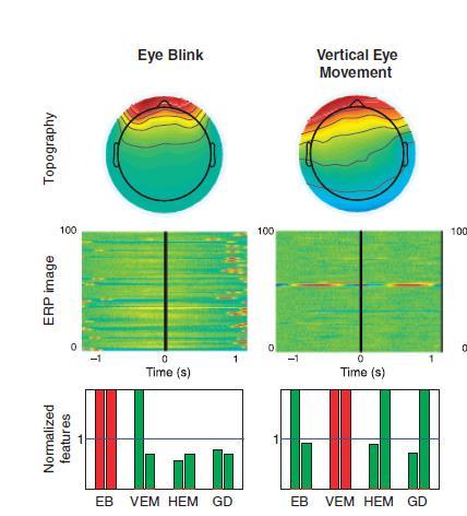 Features Spatial Average Difference (SAD) Spatial topography of blink ICs Looks for higher amplitude in frontal vs.