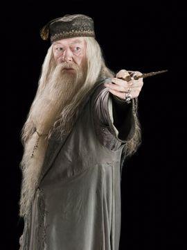 The Mentor Professor Dumbledore The Mentor is an older, wiser teacher. The Mentor also serves as a father or mother figure.