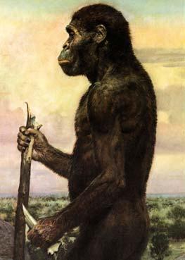 EARLY MAN (I) The ancestors of modern Humans First appeared