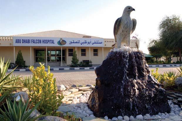 FALCON HOSPITAL VISIT The Abu Dhabi Falcon Hospital, the largest falcon hospital in the world, is dedicated to the highest standard of comprehensive treatment and care of