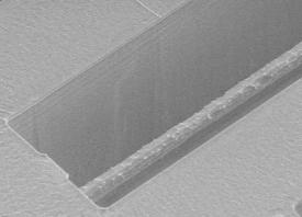 Middle 100 µm Down combs Up combs