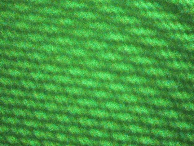 Close Up Field Image image projected on a flat surface Dual Head Laser Status (Proto) ** As