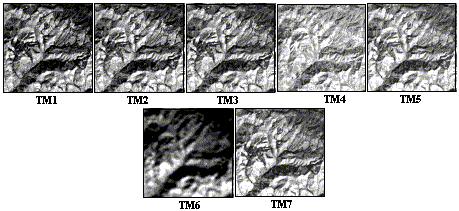 Sateliţii de teledetecţie preiau imagini în mai multe benzi spectrale, care pot fi folosite în numeroase scopuri, problemă adâncită la disciplina teledetecţie. În figura 2.