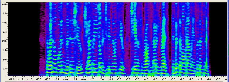 Spectrogram Analysis There shoe She